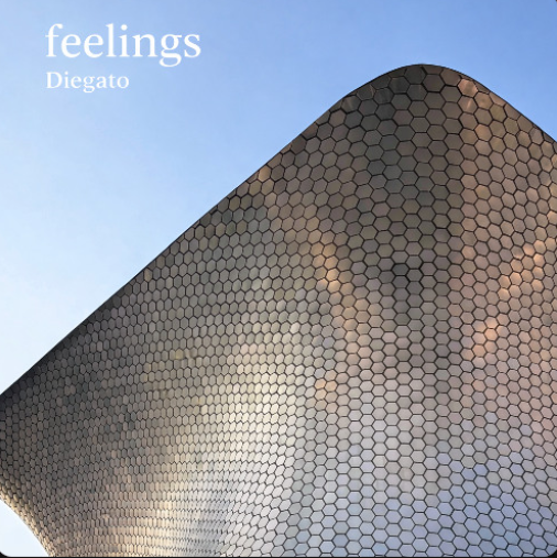 Feelings by Diegato cover artwork
